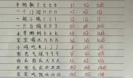 花艺搭配的艺术，如何形容花搭配的美妙
