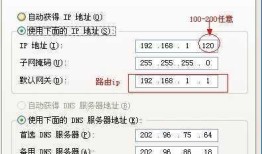 央视网主页域名IP地址解析及网络访问指南
