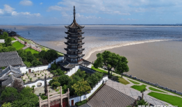 央视网站，中国官方媒体的数字化窗口