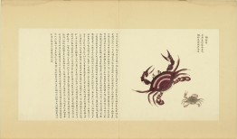探索茶的奥秘，喝什么茶有助于降低血压？