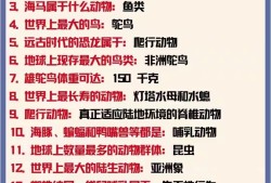 百科知识常识大全，探索世界的奥秘