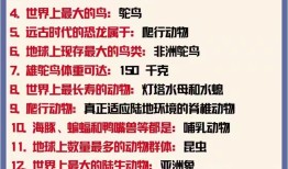 百科知识常识大全，探索世界的奥秘