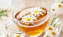 女性降血压的优选茶品，健康之选