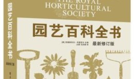 百科全书式的企业，百科是做什么的公司？