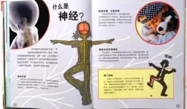 百科全书，探索知识的无限可能