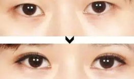 探索知识的海洋，百科全书的力量与魅力