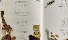动物百科题库大全，探索动物世界的奥秘