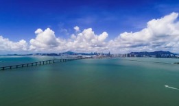 百科全书，知识的海洋与专业领域的桥梁