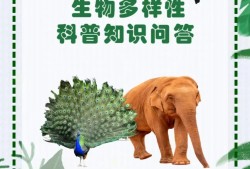 动物百科常识选择题解析，探索自然界的奇妙生物