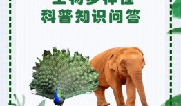 动物百科常识选择题解析，探索自然界的奇妙生物