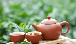 高血压患者应避免的茶叶类型