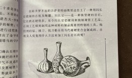 百科知识常识大全及答案，探索世界的奥秘