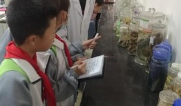 及答案大全，探索动物世界的奥秘