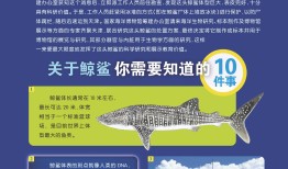 探索百科知识的广阔天地