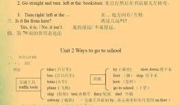 小学1到6年级知识点全解析，打造知识体系的基石