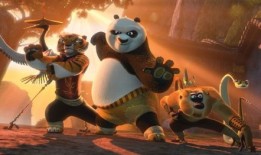 Panda Cats:Unveiling the Coolest Cold Facts