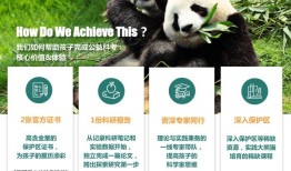 熊猫知识科普，保护与教育的双重使命