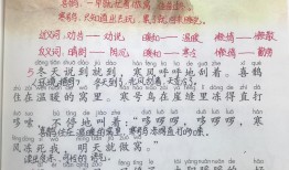 小学生百科问答，开启知识的大门