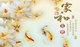 花的寓意大全，探索花卉背后的文化与象征