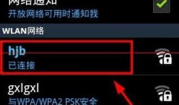 央视网主页域名IP地址查询，方法、步骤与注意事项