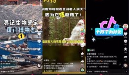 抖音百科入口，探索短视频平台的奥秘