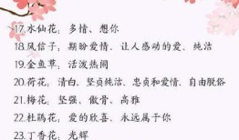 花与花搭配的花语，解读花卉组合的深层含义