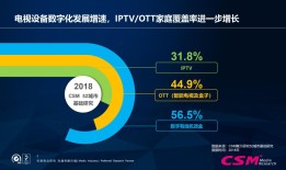 央视PP，中国电视媒体的数字化转型与创新之路