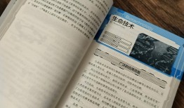 百科问题全答案大全免费，探索知识的无限可能
