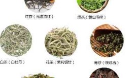 探索茶的神奇功效，哪一种茶有助于降血脂降血压？