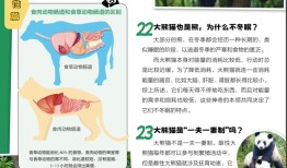 熊猫科普知识大全，了解国宝的奥秘