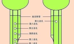 小学生基础知识大全100题，打造坚实学习基础