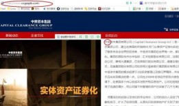 央视网主页域名解析，探索中国官方媒体的网络门户