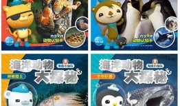 探索知识的海洋，儿童百科系列的多样性与魅力