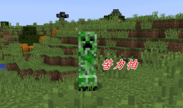 我的世界苦力怕秒懂百科，全面解析苦力怕的生态、行为及应对策略