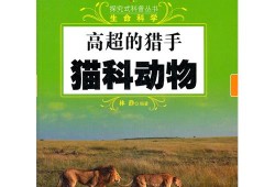动物百科常识选择题及答案，探索动物世界的奇妙之旅