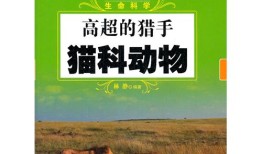 动物百科常识选择题及答案，探索动物世界的奇妙之旅