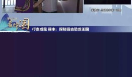探索央视直播网址，观看中国中央电视台直播的便捷途径