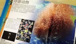 百科知识全书概览，探索知识的海洋