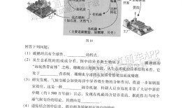 动物百科，题目及答案解析