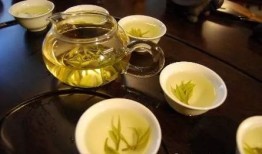 探索有助于降糖的茶类及其健康益处