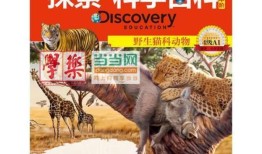 动物百科常识选择题及答案，探索动物世界的奇妙之旅