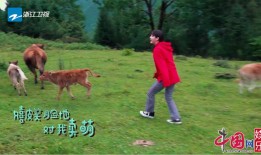 儿童百科系列，大草原上的奇妙世界
