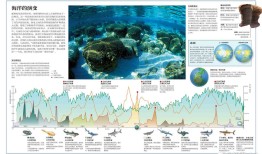 探索知识的海洋，如何高效地下载和利用百科全书