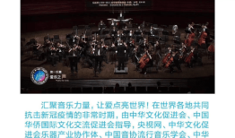 央视官网，中国媒体的权威之声