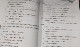 小学生基础知识大全集萃，开启智慧之门的钥匙