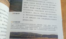 中国地理知识百科全书，探索神州大地的奥秘
