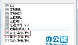 央视网主页域名IP地址查询，方法、步骤与注意事项