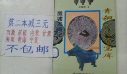 传统文化全书，探索中华文明的电子宝库
