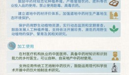 传统文化全书，探索中华文明的电子宝库