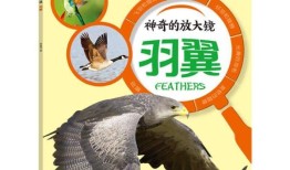 动物百科常识选择题及答案，探索动物世界的奇妙之旅
